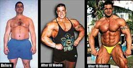 Masteron steroid cycle